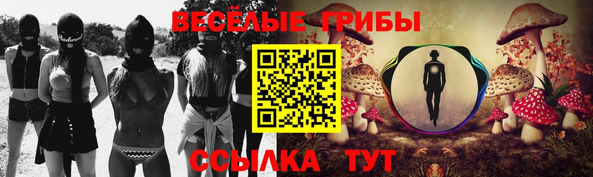 Псилоцибиновые грибы ЛСД  Галлюциногенные грибы прущие грибы  Фролово  Вход с VPN 